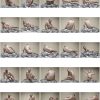 Male nude #II - Image 2