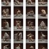 Carly seated /white gown I/20 shots - Image 2