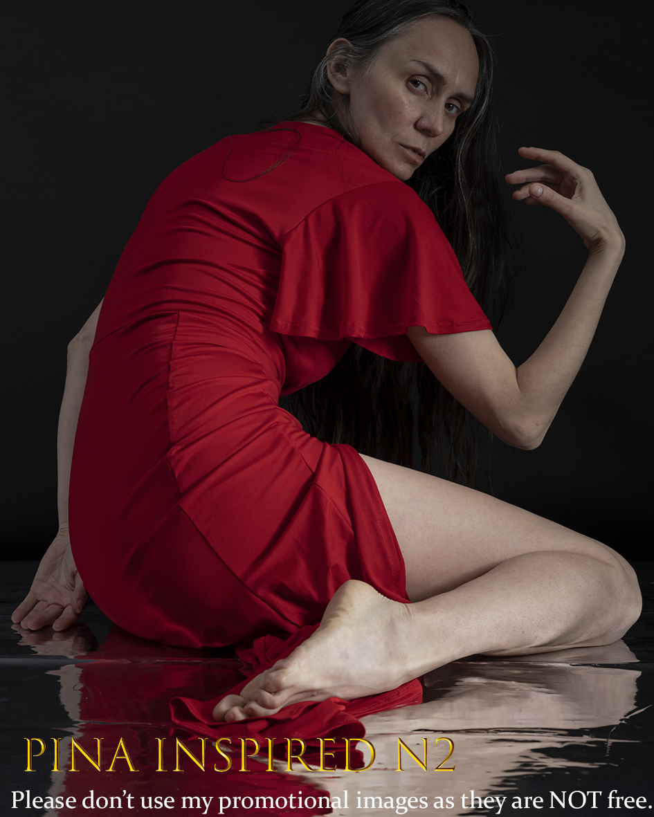 Pina inspired N°2 /16