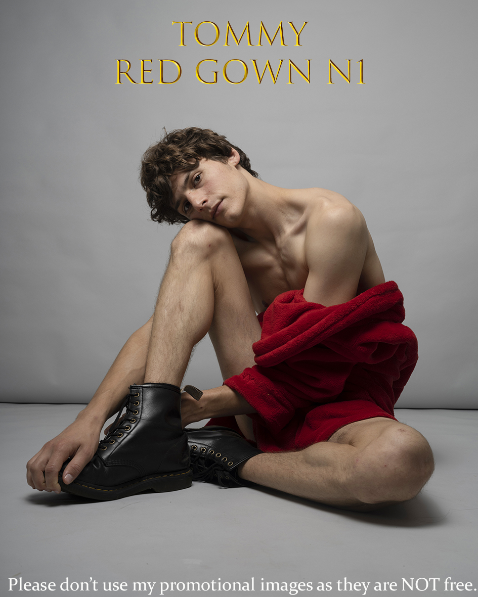 T Red gown N°1 /20