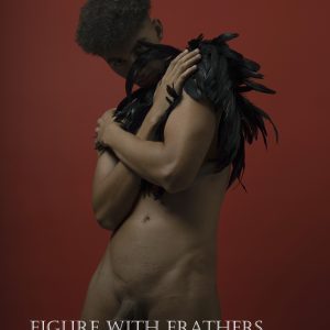 Figure with Feathers N°2 / 20