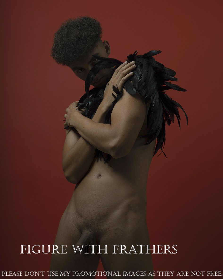 Figure with Feathers N°2 / 20