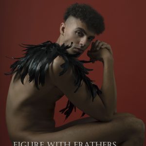 Figure with Feathers N°1 / 20