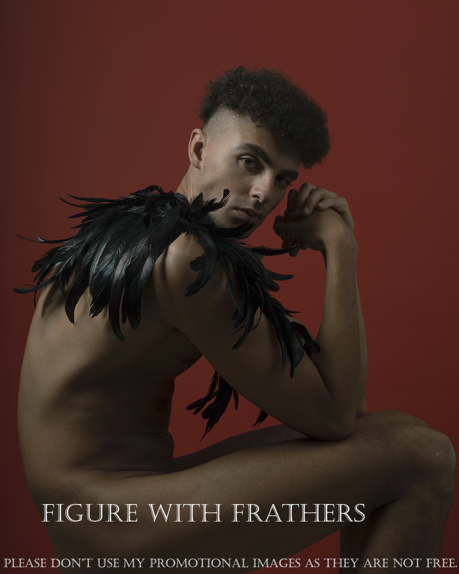 Figure with Feathers N°1 / 20
